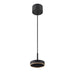Black metal pendant light fixture with wood accent and ceiling mount.