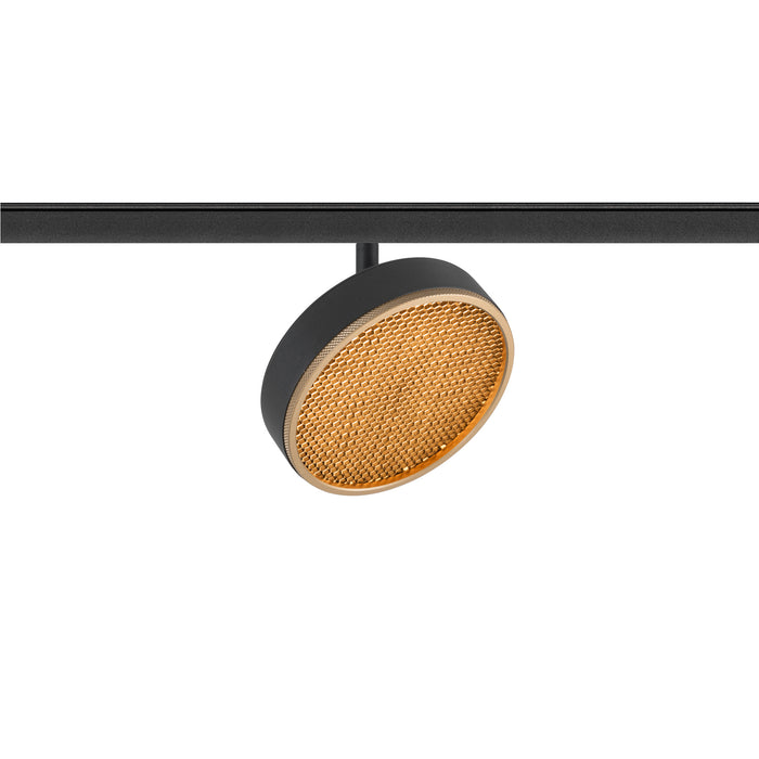 Black track lighting fixture with gold honeycomb lens.