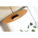 SLV 1009018 GRIP! FLAT, 48V pendant light, DALI, Pendant length 200 cm, 2700/3000 K, black / gold (MD20)