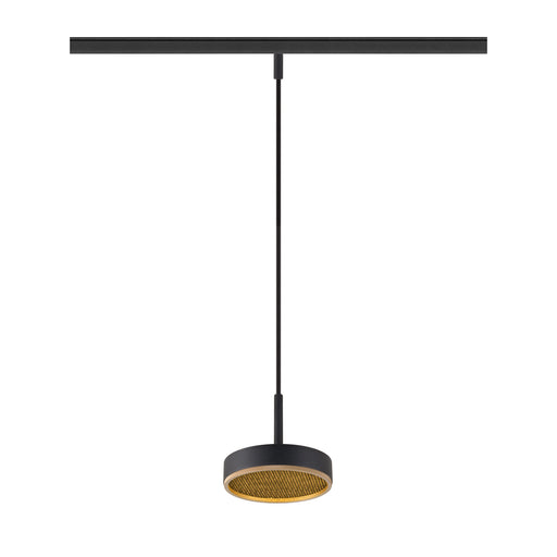 Black track-mounted pendant light fixture with a round shade and gold interior.