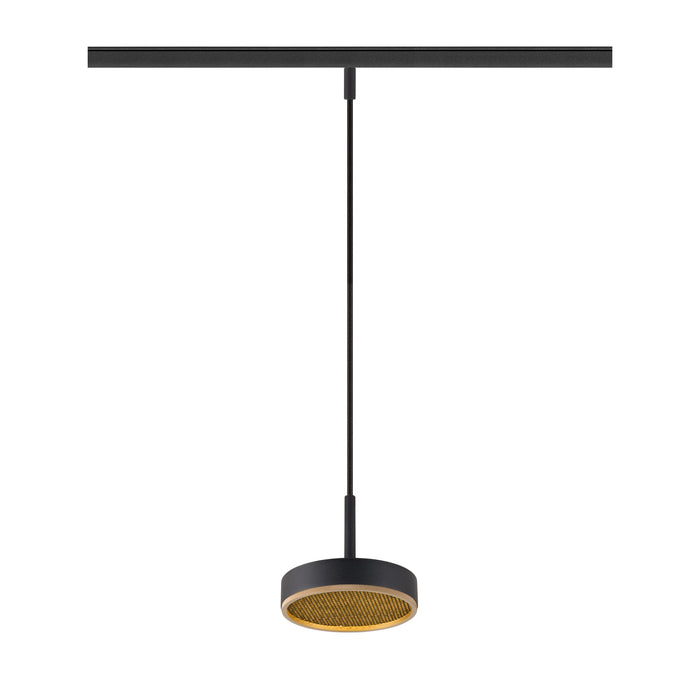 Black track-mounted pendant light fixture with a round shade and gold interior.
