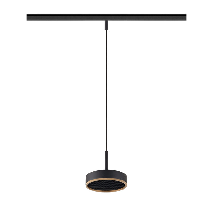 Black metal track lighting pendant with wood accent.