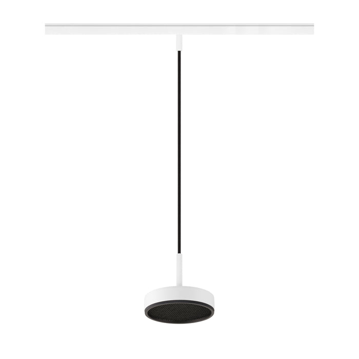 White metal track light fixture with black mesh diffuser, suspended from track.