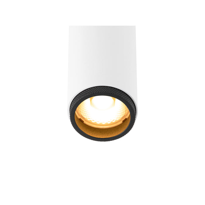 White cylinder surface-mounted spotlight with black trim and gold reflector.