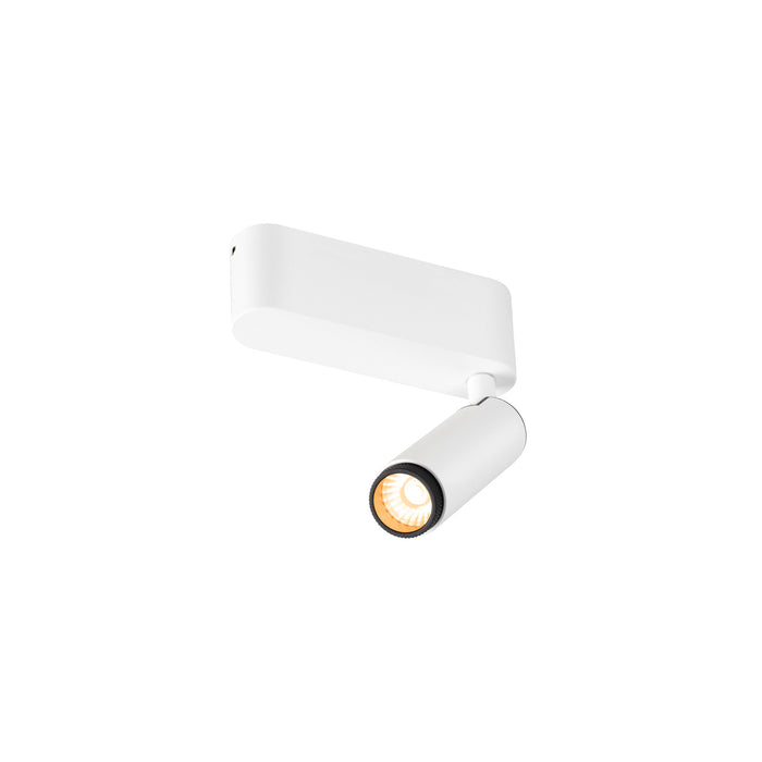 White metal surface-mounted spotlight fixture.