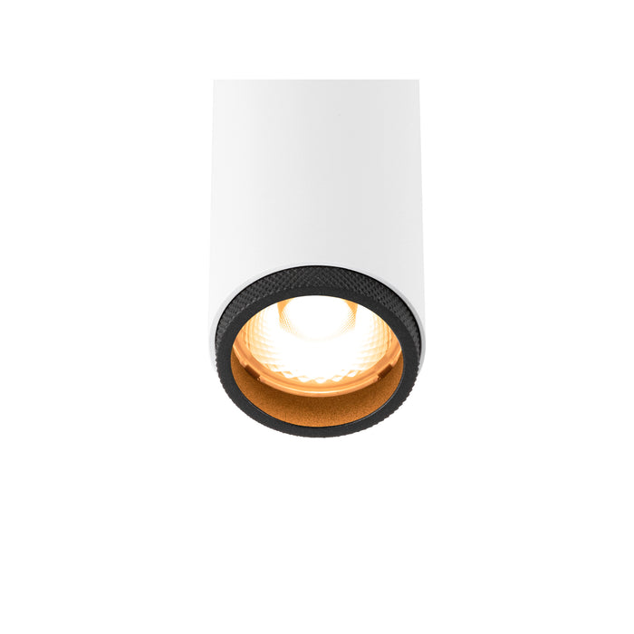 White cylinder surface-mounted light fixture with black trim and warm light.