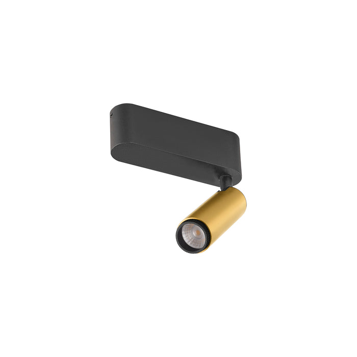 Black and gold metal surface-mounted spotlight fixture.