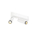 White metal ceiling light fixture with two adjustable spotlights.