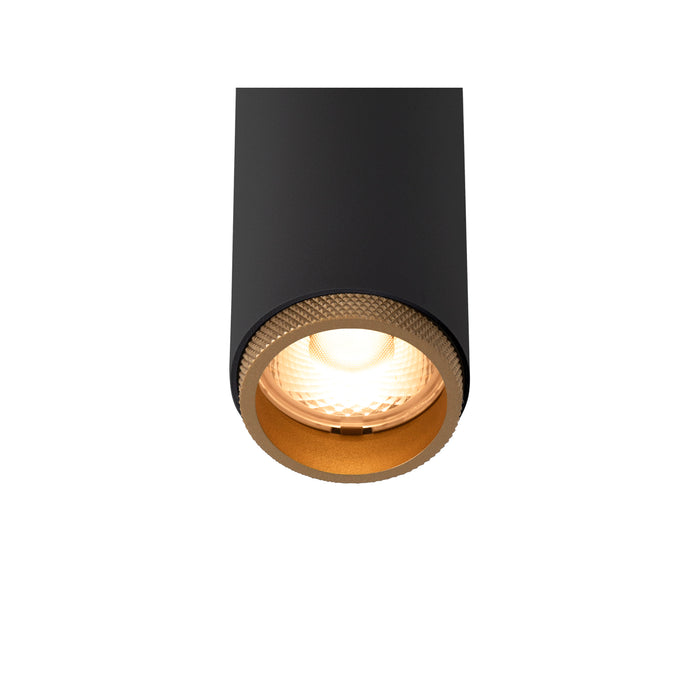 Black recessed ceiling light fixture with gold trim.