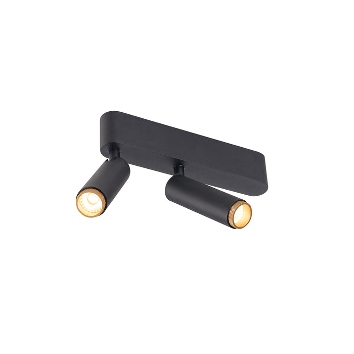 Black metal ceiling light fixture with two adjustable spotlights.