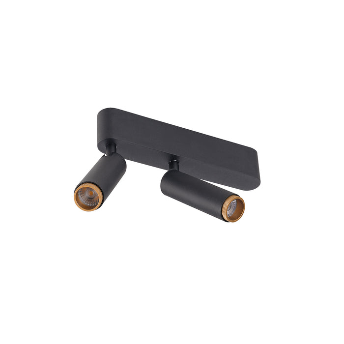 Black metal surface-mounted spotlight with two adjustable heads and gold accents.