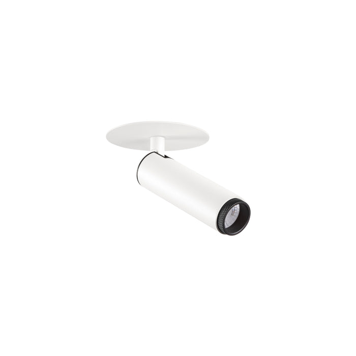 White metal ceiling-mounted spotlight with adjustable head.