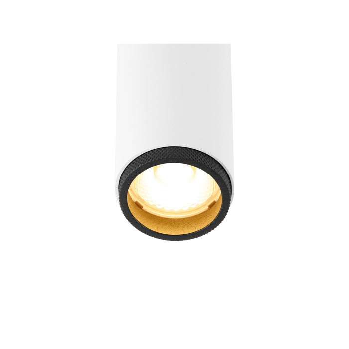 White cylinder surface-mounted light fixture with black trim and gold interior.
