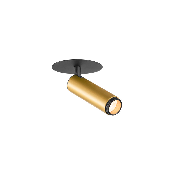 Gold cylinder spotlight with black ceiling mount.