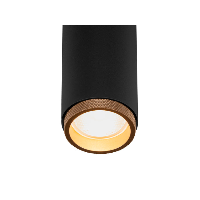 Black cylinder surface-mounted light fixture with textured bronze trim.