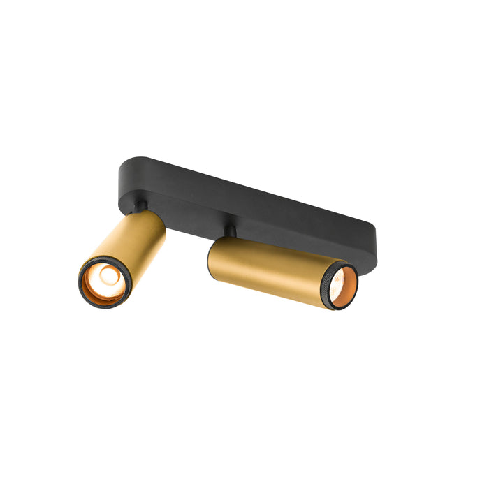 Black and gold metal surface-mounted spotlight with two adjustable heads.