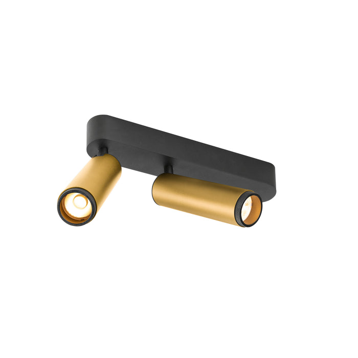Black and gold finish, two-light, surface-mounted spotlight fixture.