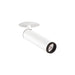White metal cylinder ceiling-mounted spotlight with black trim.