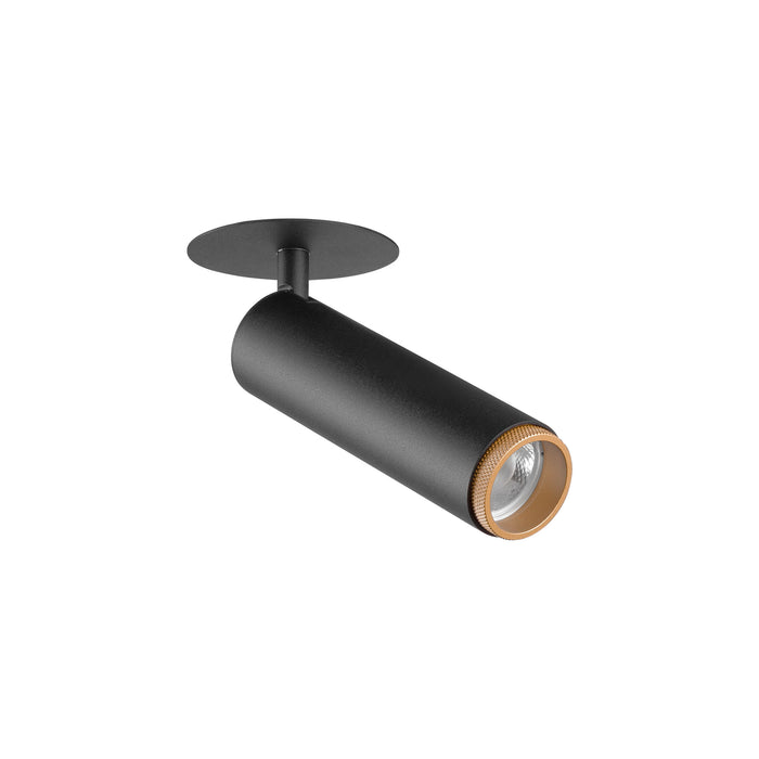 Black metal ceiling-mounted spotlight with gold trim.