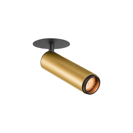 Metal ceiling spotlight, gold finish with black mounting.