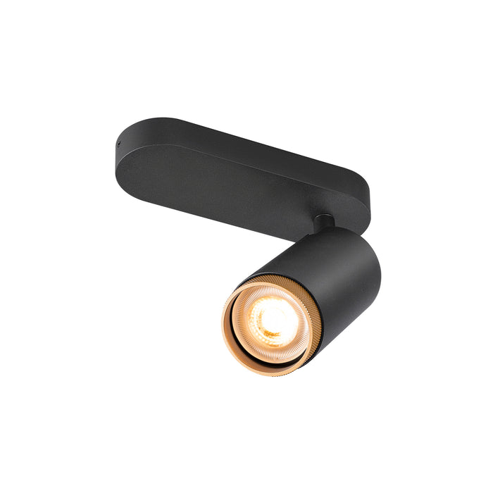 Black metal surface-mounted spotlight with gold accent.