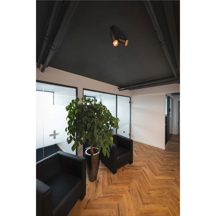 SLV 1009097 GRIP! L, SPOT CL, double, QPAR51, ceiling-mounted light, cylindrical, 2 x max. 6 watts, black / gold (MD20)