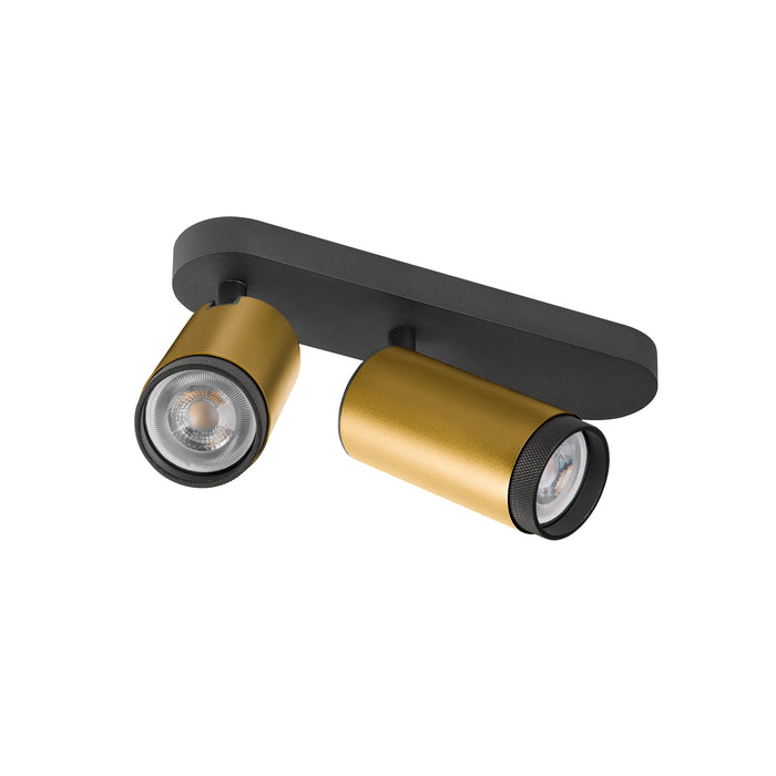 Black and gold metal track lighting fixture with two adjustable spotlights, surface mounted.