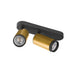Black and gold metal track lighting fixture with two adjustable spotlights, surface mounted.