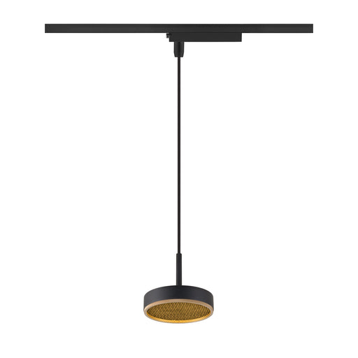Black track lighting pendant with round shade and gold-toned interior.