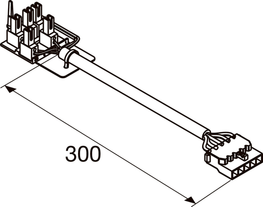 Wiring harness with connectors, 300mm length.