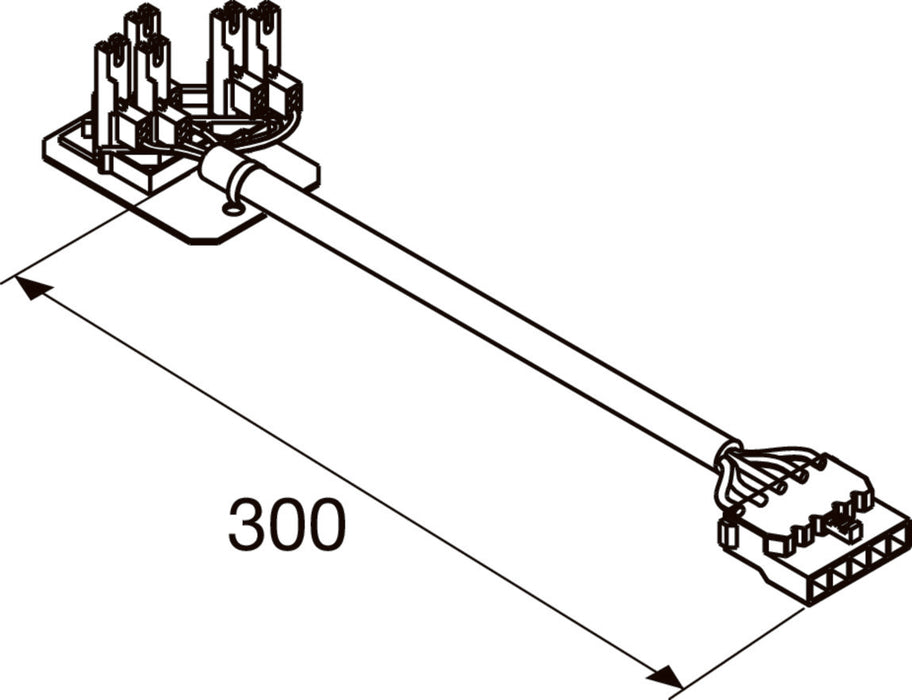 Wiring harness, 300mm length, with connectors.