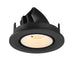 Recessed ceiling light fixture, black finish, adjustable gimbal mount.
