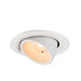 White recessed ceiling light fixture, adjustable angle, matte finish.