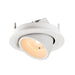 White recessed ceiling light fixture, adjustable angle, textured finish.