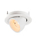 White recessed adjustable spotlight fixture.