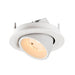 White recessed adjustable spotlight, metal with textured finish.