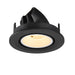 Recessed ceiling light fixture, black finish, adjustable spotlight.