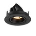 Black recessed ceiling light fixture with adjustable head.