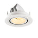 White recessed ceiling light fixture, metal with matte finish.