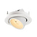 Recessed adjustable spotlight, white finish, ceiling mount.