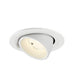 White recessed ceiling light fixture, adjustable tilt, matte finish.