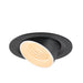 Black recessed ceiling light fixture with adjustable head.