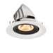 Recessed LED downlight in white finish with aluminum housing and black trim, featuring a warm light bulb for ceiling mounting.