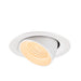 White recessed LED downlight, adjustable tilt, flush mount.