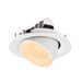 White recessed LED downlight, adjustable angle, flush mount.