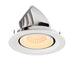 White recessed LED downlight, adjustable tilt, with textured finish.