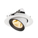 Recessed spotlight made of metal with a matte white finish and black accent, featuring a warm LED bulb for ceiling mounting.