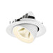 White recessed LED downlight, adjustable tilt, flush mount.