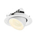 White recessed LED downlight, adjustable angle, ceiling mount.