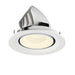 White recessed LED downlight, adjustable tilt, matte finish.